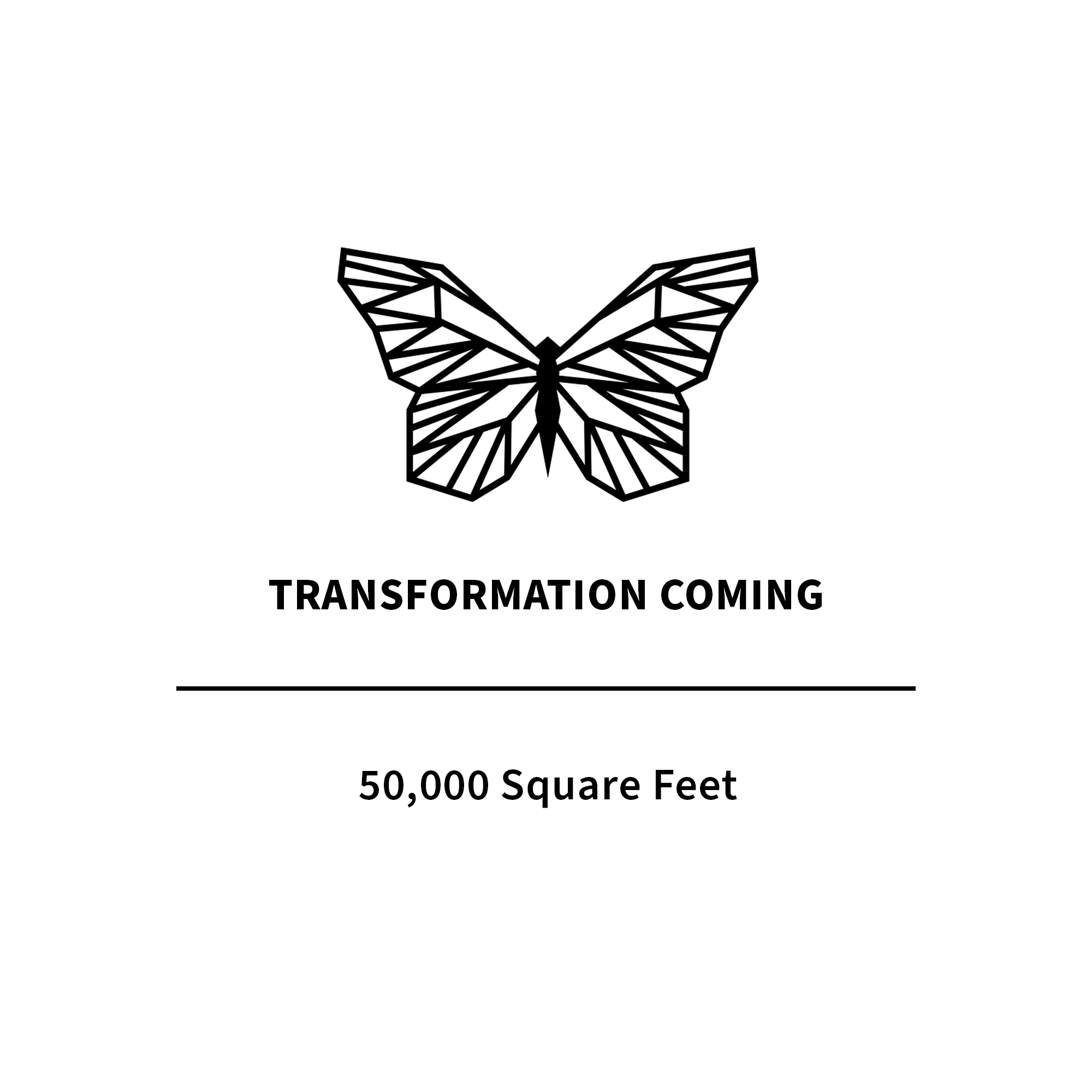 3900 Orange Place, Orange Village, Ohio 